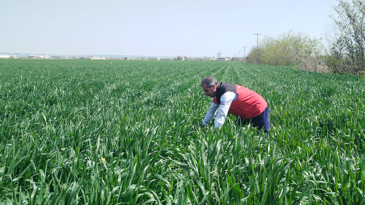 Şanlıurfa’da kimsenin beklemediği manzara! Ekipler her karışı inceliyor