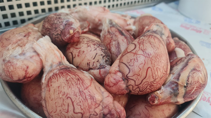 Şanlıurfa'da koç yumurtası kapış kapış satılıyor