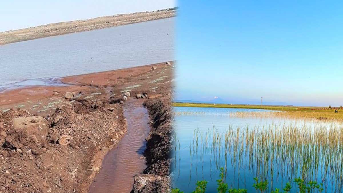 Şanlıurfa'da kuraklığın en acı yüzü: 49 yıllık dev gölet…