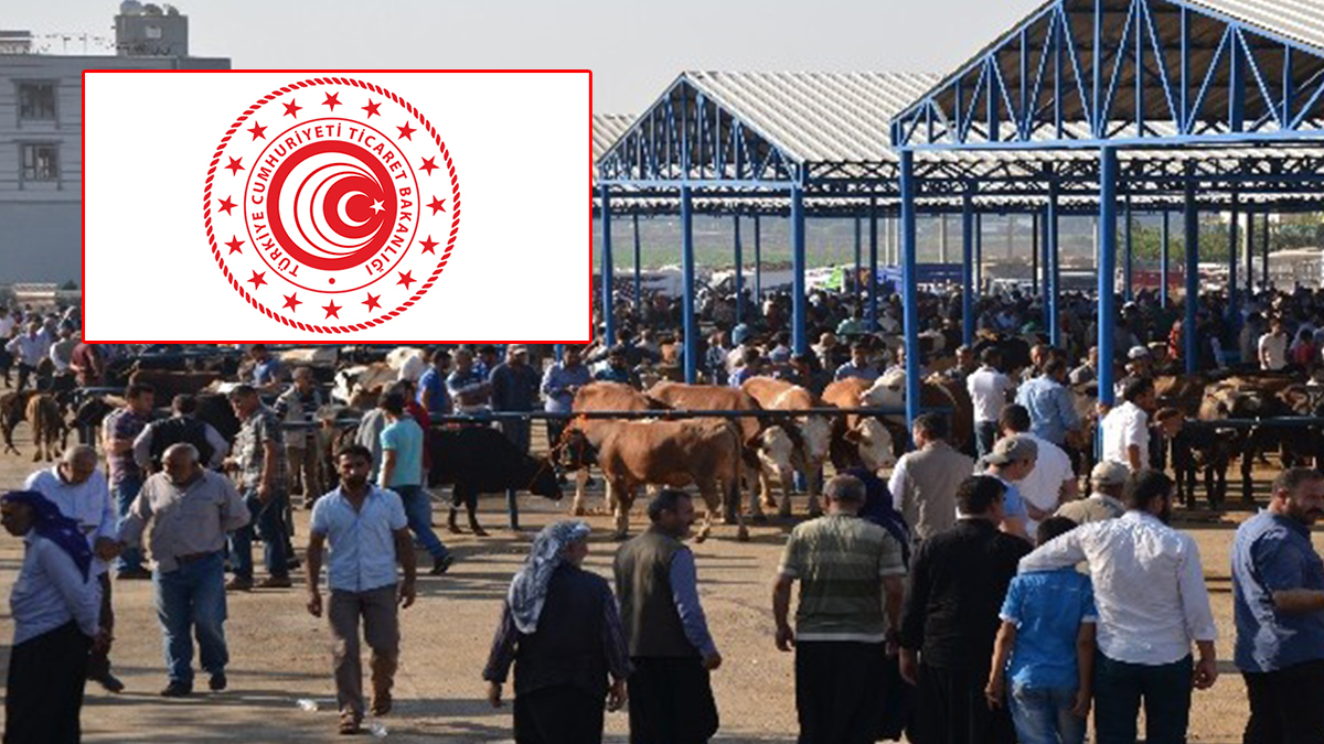 Şanlıurfa’da Kurban Bayramı alarmı: O mesajlara sakın tıklamayın