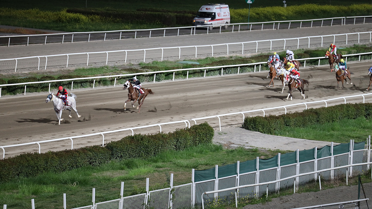 Şanlıurfa’da Kurtuluş Koşusu’nda kazanan belli oldu!