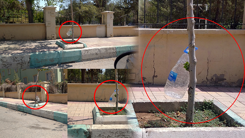 Şanlıurfa’da duyarlı davranış! Bu yöntem ağaçlara can veriyor