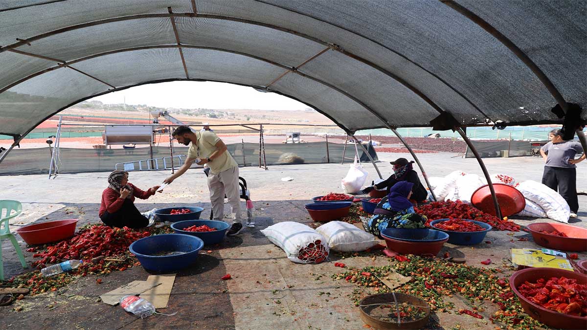 Şanlıurfa’da sağlık ekiplerinden isot temizleme alanına çıkarma
