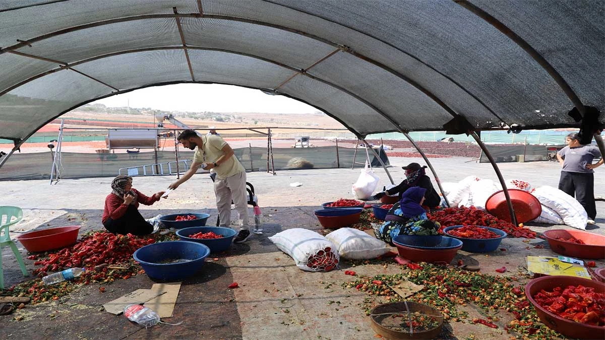 Şanlıurfa’da sağlık ekiplerinden isot temizleme alanına çıkarma