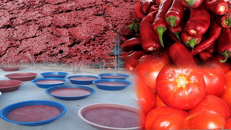 Şanlıurfa’da salçalık domates ve biber ne kadar?