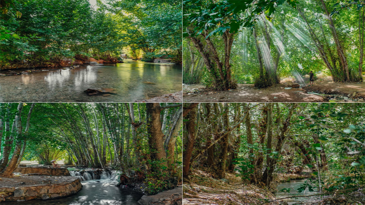 Şanlıurfa’da sıcaktan kaçanların ilk durağı! Buz gibi…