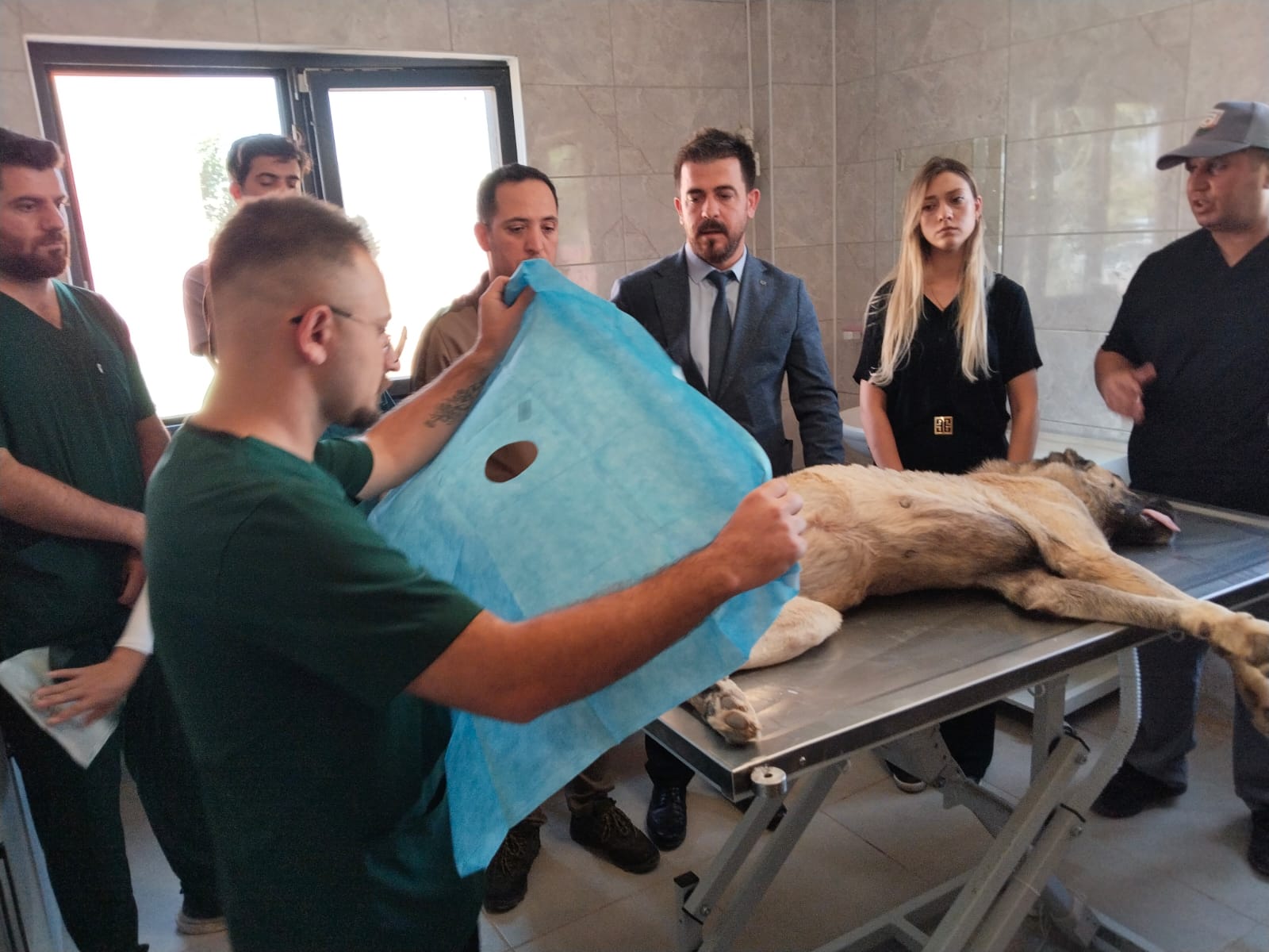 Şanlıurfa'da sokak hayvanları için tarihi adım!