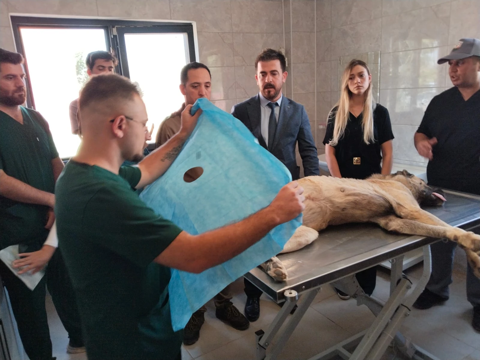 Şanlıurfa'da sokak hayvanları için tarihi adım!