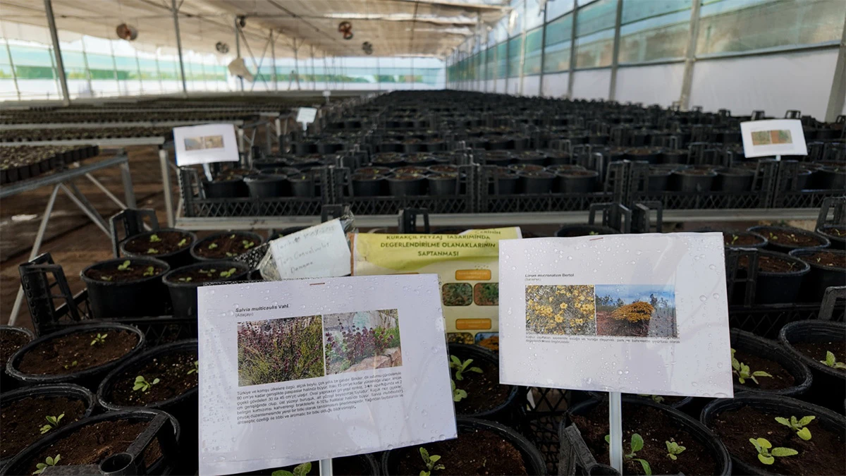 Şanlıurfa'da 'susuz' parklar dönemi! İşte milyonlarca liralık tasarrufun formülü