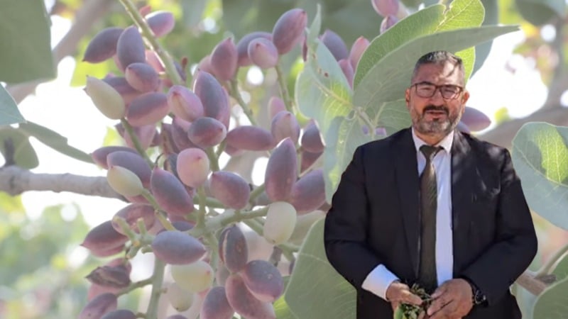 Şanlıurfa’da fıstık üreticilerine "hemen satmayın" çağrısı