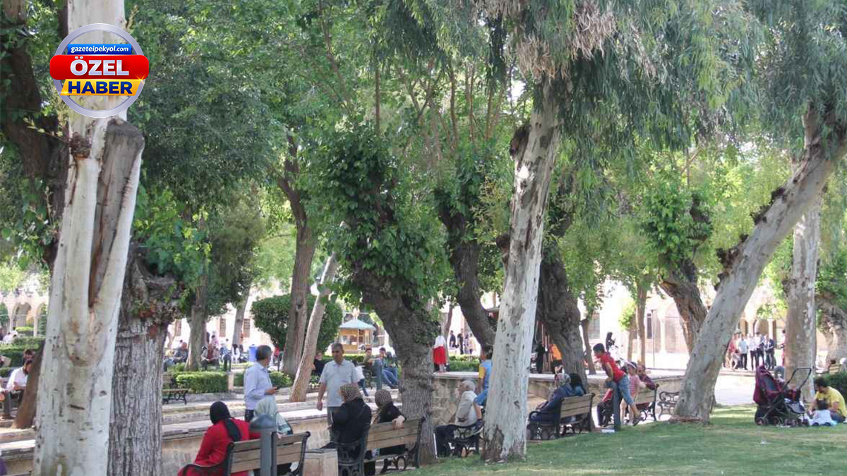 Şanlıurfa'da vatandaşlar çareyi orada buldu!