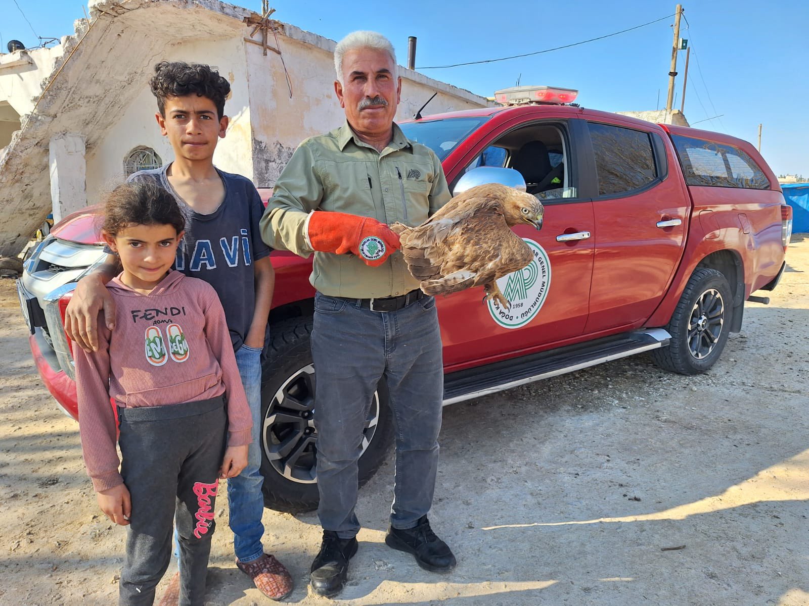 Şanlıurfa’da yaralı kızılşahin çocukların yardımıyla kurtarıldı