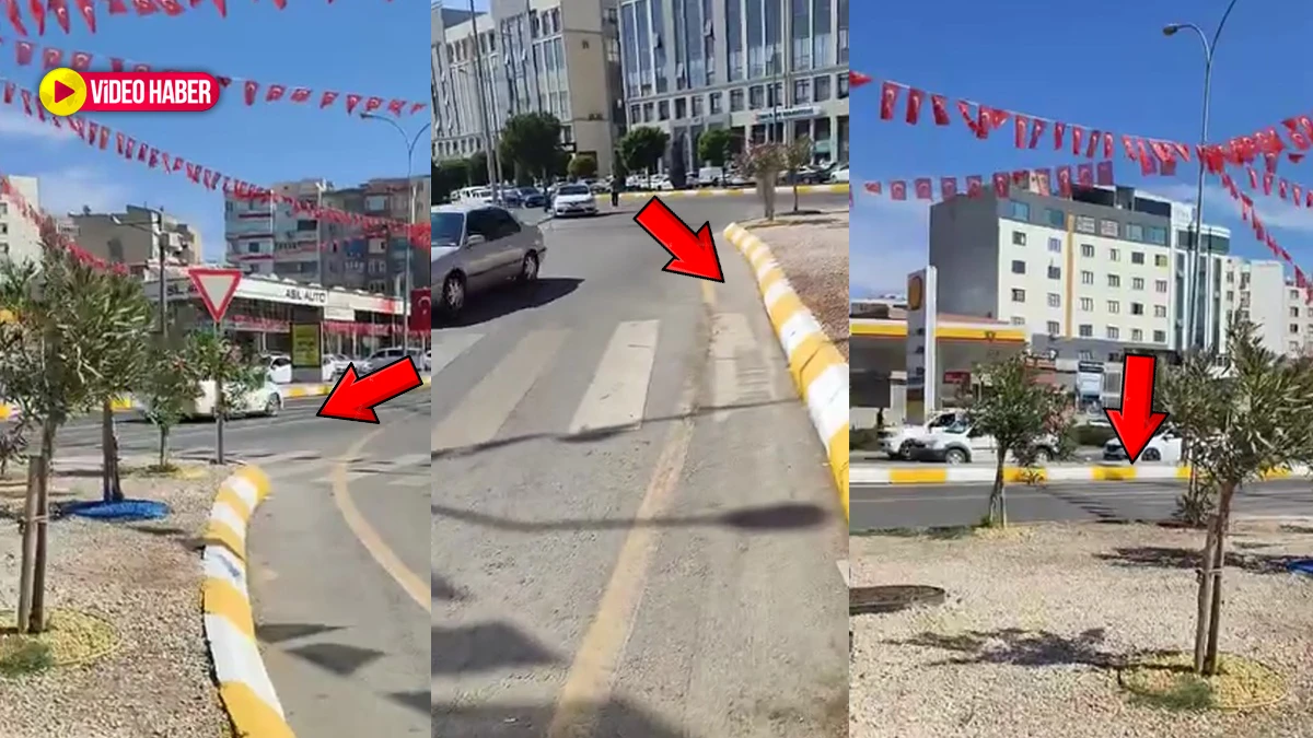 Tek bir video yetti! Şanlıurfalı tek cümleyle "madara etti"