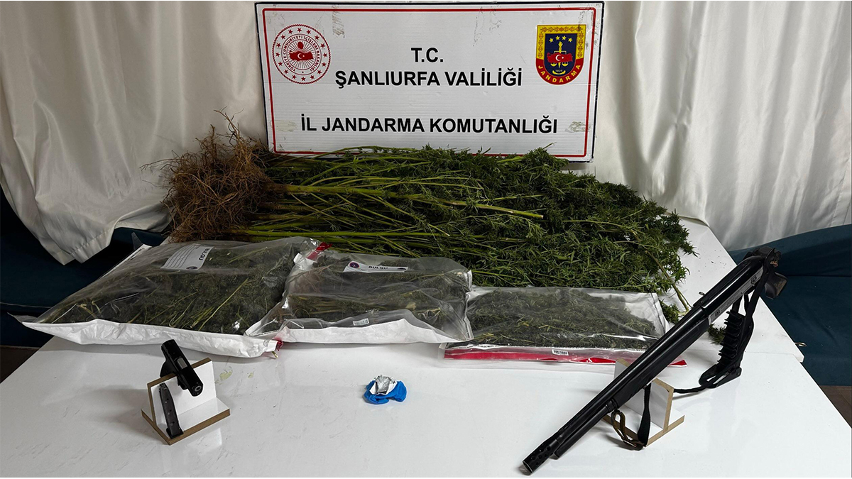 Şanlıurfa’da ‘zehir’ ticaretine geçit yok! 4 gözaltı