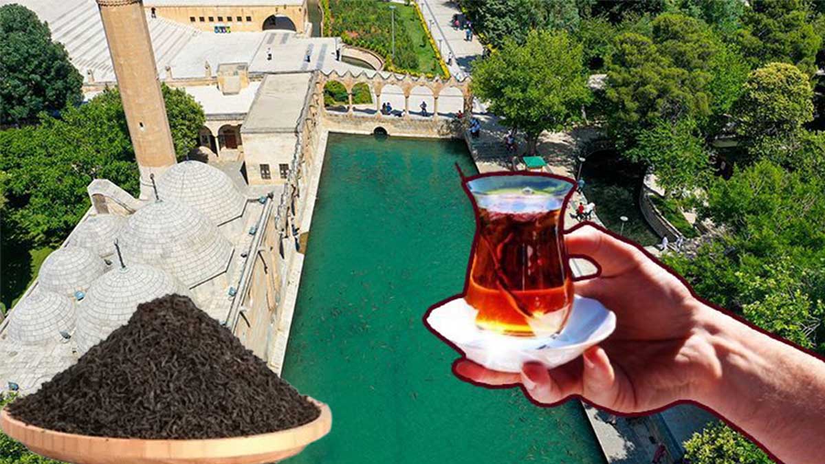Şanlıurfa’daki çay tiryakilerine kötü haber! Zam…