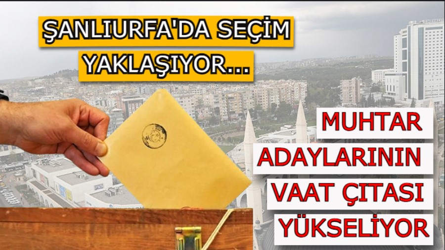 Şanlıurfa'daki muhtarlar belediye başkanları ile yarışır