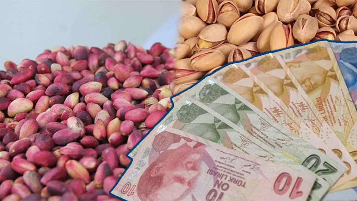 Şanlıurfa'daki yatırımcıların dikkatine! Piyasayı alt üst edecek fıstık tahmini