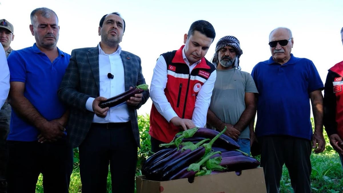 Şanlıurfa'dan tüm Türkiye’ye sevk ediliyor! Kapışılan lezzet…