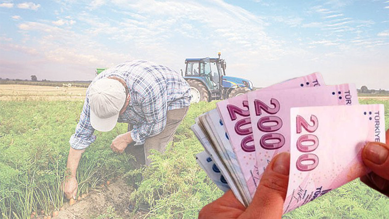 Şanlıurfalı çiftçiler dikkat! Destek ödemeleri hesaplara yatırılıyor