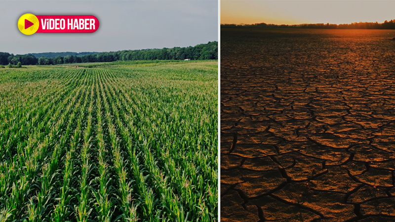 Şanlıurfalı çiftçilerin dikkatine! Kamu spotuyla riske dikkat çekildi