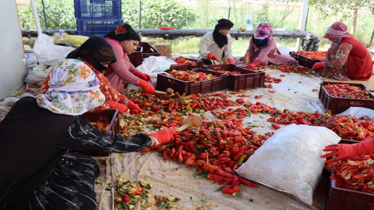 Şanlıurfalı kadınlar esnafla karşı karşıya! İsot tartışmasında ikinci perde