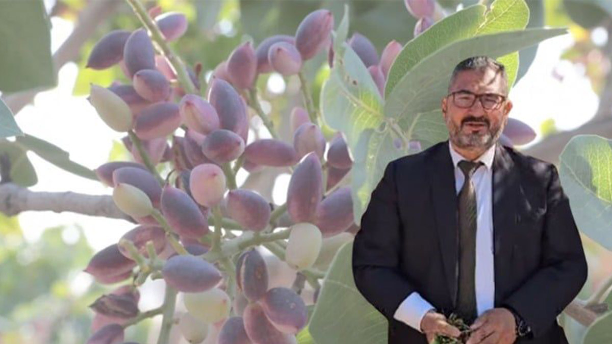 Şanlıurfalı üreticinin acı feryadı! "Depolar dolu, alıcı yok…"