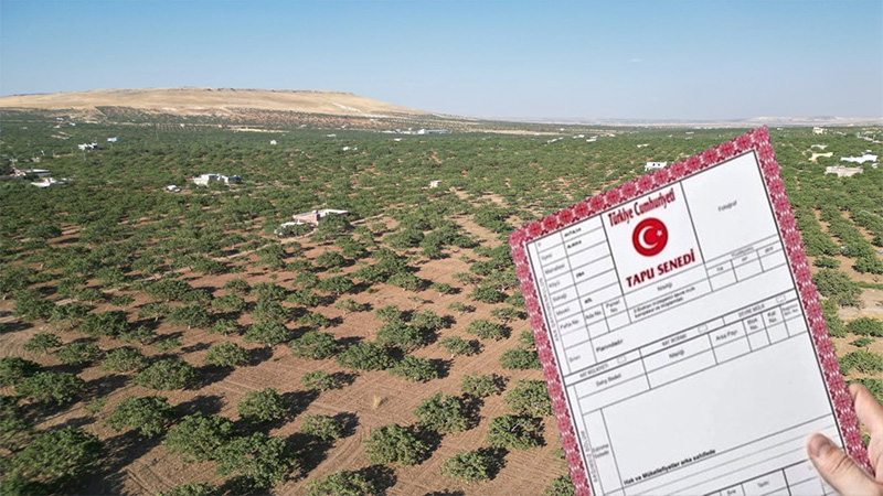 Şanlıurfalılar bu tarihi kaçırmayın! Araziniz haberiniz olmadan kiraya verilebilir
