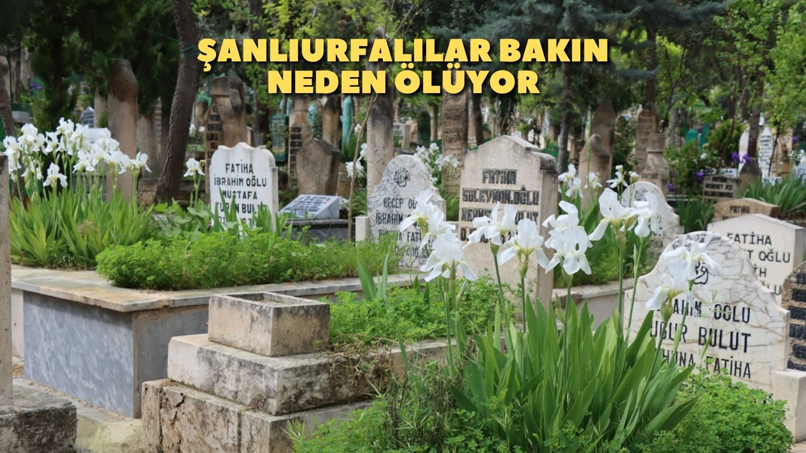 Şanlıurfalılar neden ölüyor?