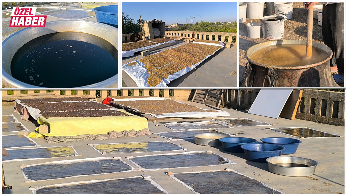 Gündüz bağda, gece kazanda! Şanlıurfalıların uykusuz ama 'tatlı' mesaisi başladı