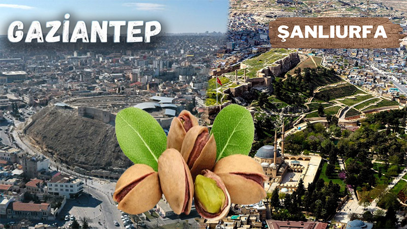 Şanlıurfa’nın başarısı Gaziantep’i karıştırdı!