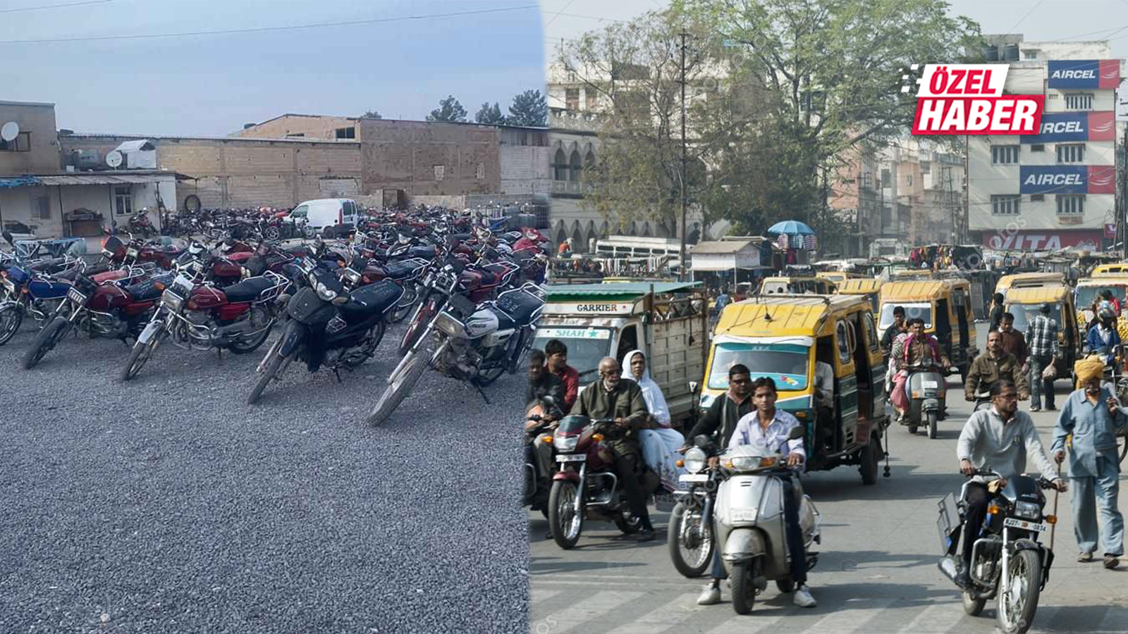 Şanlıurfa’nın başına bela oldular! Kim dur diyecek?