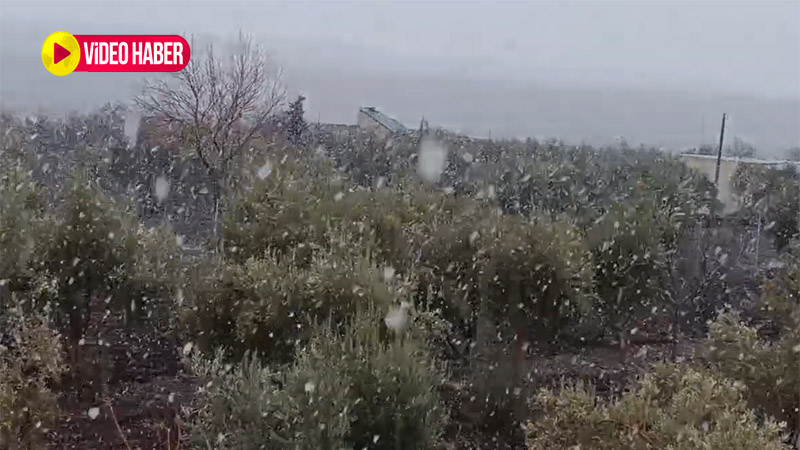 Şanlıurfa’nın beklediği kar geldi! Lapa lapa yağıyor... İşte ilk görüntüler
