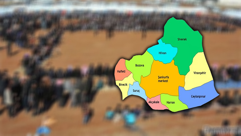 Şanlıurfa'nın en büyük ilçesinin en büyük aşireti yayınlandı! Yüzde 26'sı onlar