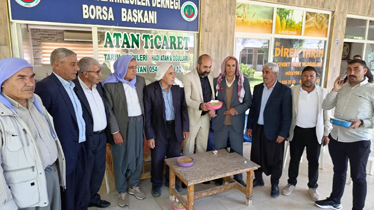 Şanlıurfa’nın ilçesinde görücüye çıktı! Tarladan borsaya, borsadan altına...