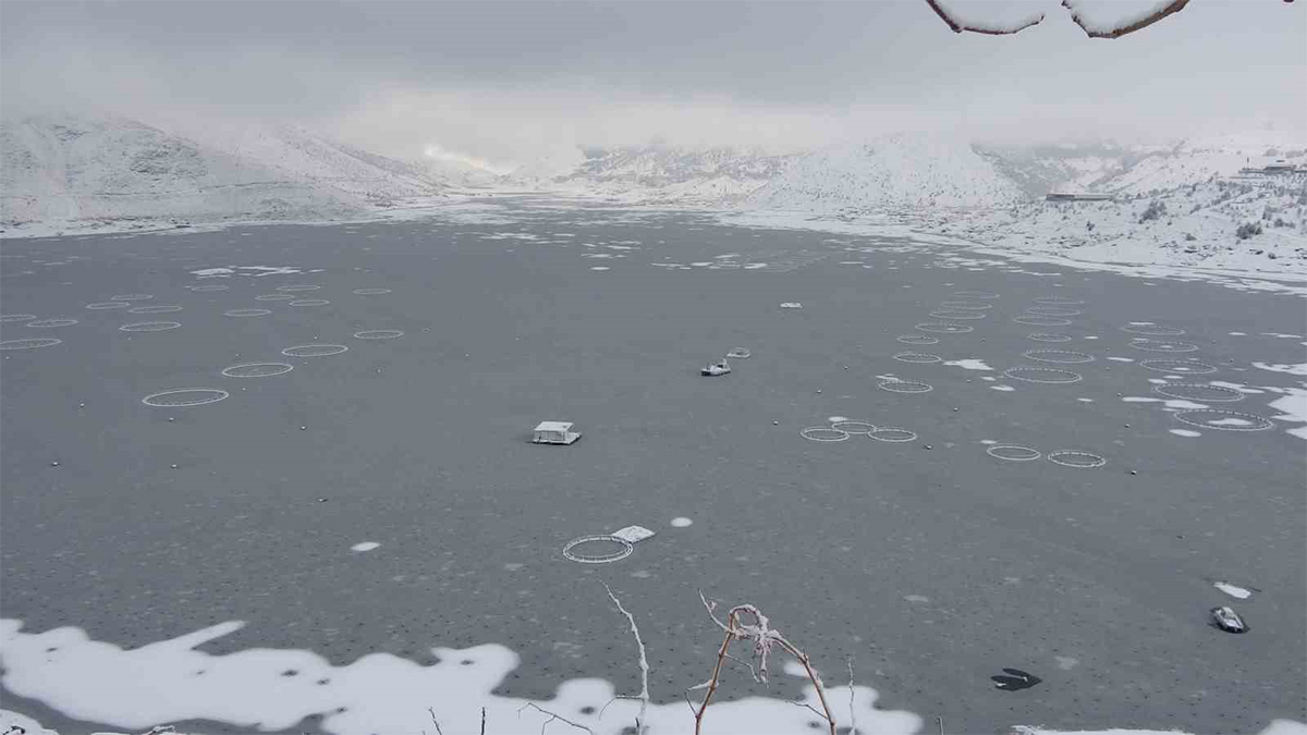 Şanlıurfa’ya yakın ama manzara bambaşka: Baraj tamamen dondu!