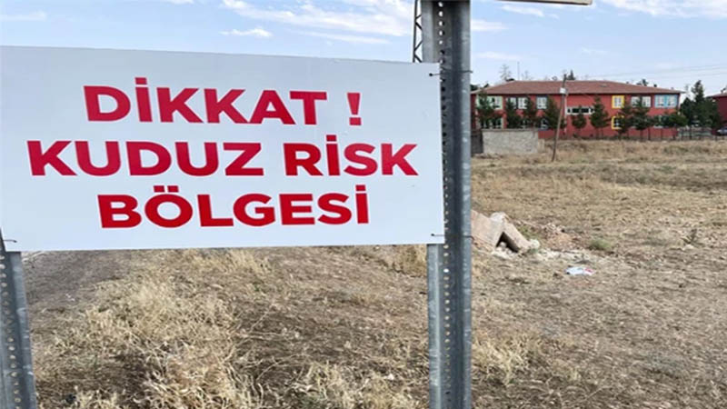 Şanlıurfa’nın yanı başında 6 ay karantinaya alındı! Kuduz alarmı…