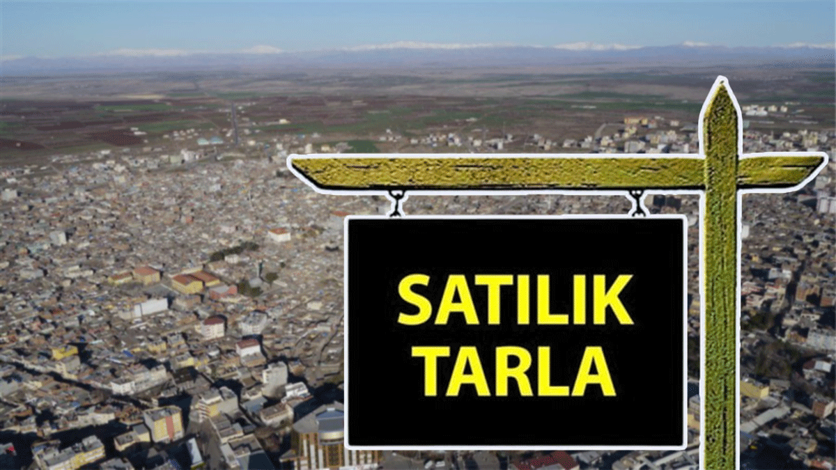 Şanlıurfa’da 500 dönümlük dev tarlanın hissesi icradan satışa çıkarıldı