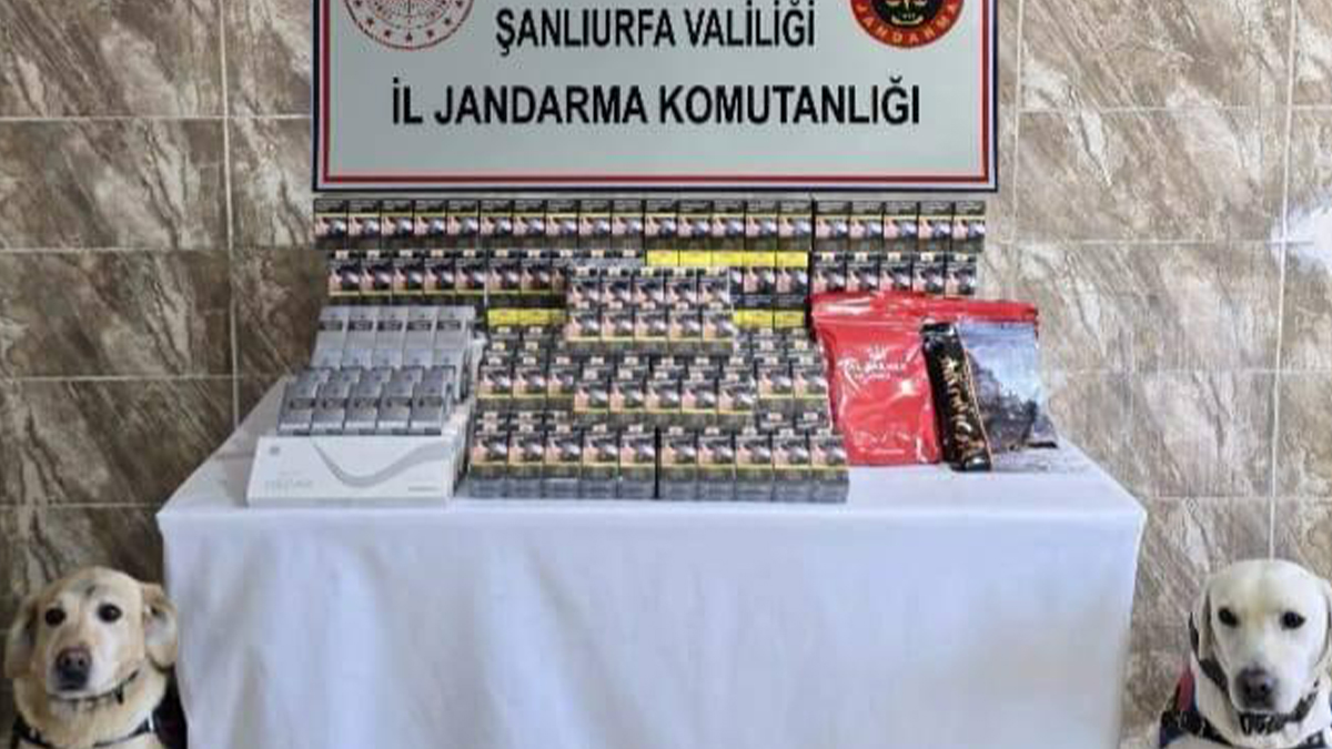 Viranşehir ve Suruç’ta kaçakçılara darbe! Binlerce pakete el konuldu