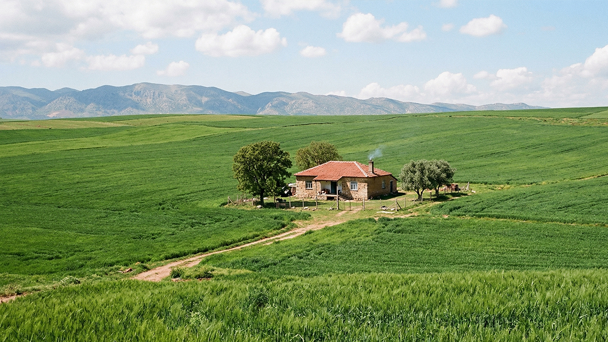 Şanlıurfa’da tarım arazileri korunacak! İzinsiz yapılar bir ay içinde yıkılacak