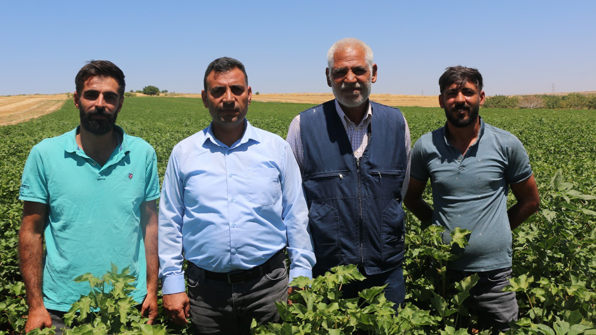Şanlıurfa’da çiftçilerin feryadı! “Destekler su parasını bile karşılamıyor”