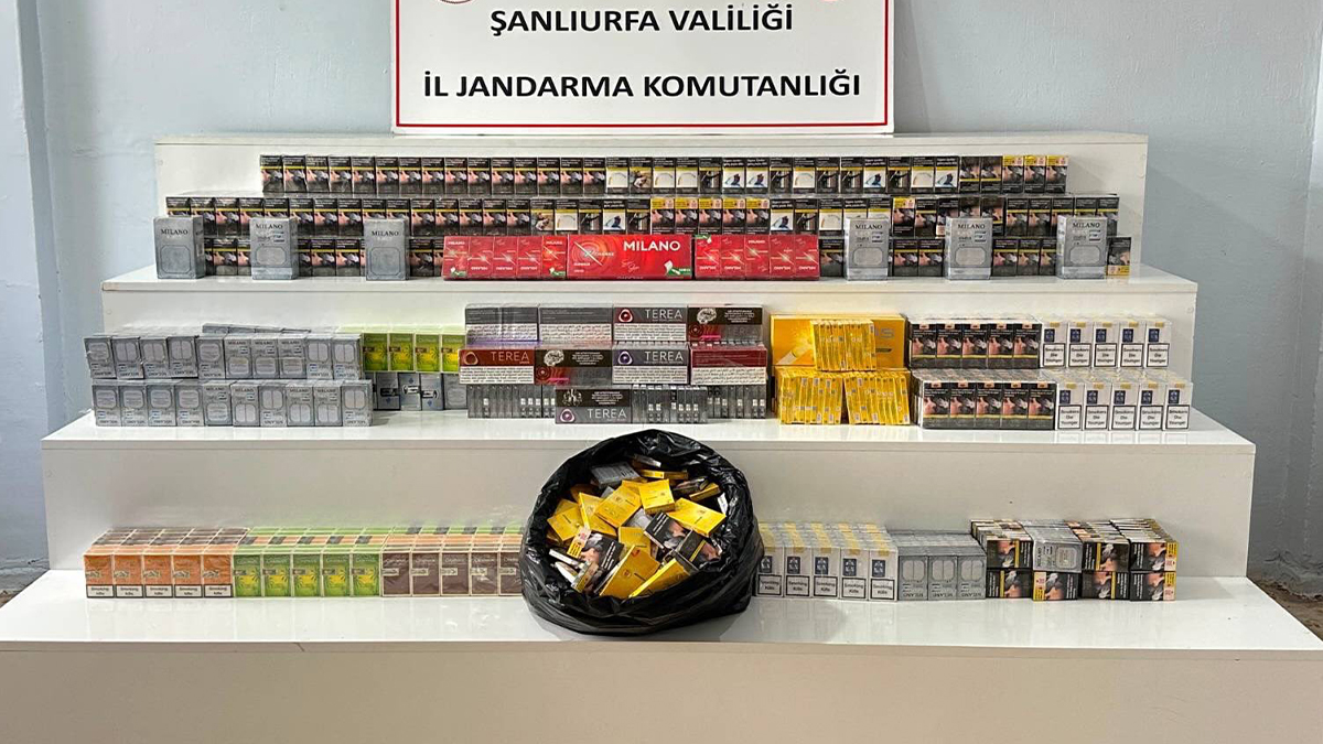 Şanlıurfa’da binlerce kaçak pakete el konuldu! 16 şüpheliye işlem