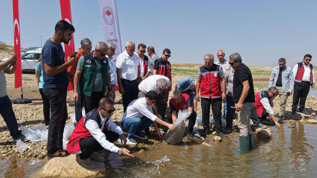 Şanlıurfa’dan Adıyaman’a 1 milyon yavru sazan balığı bırakıldı