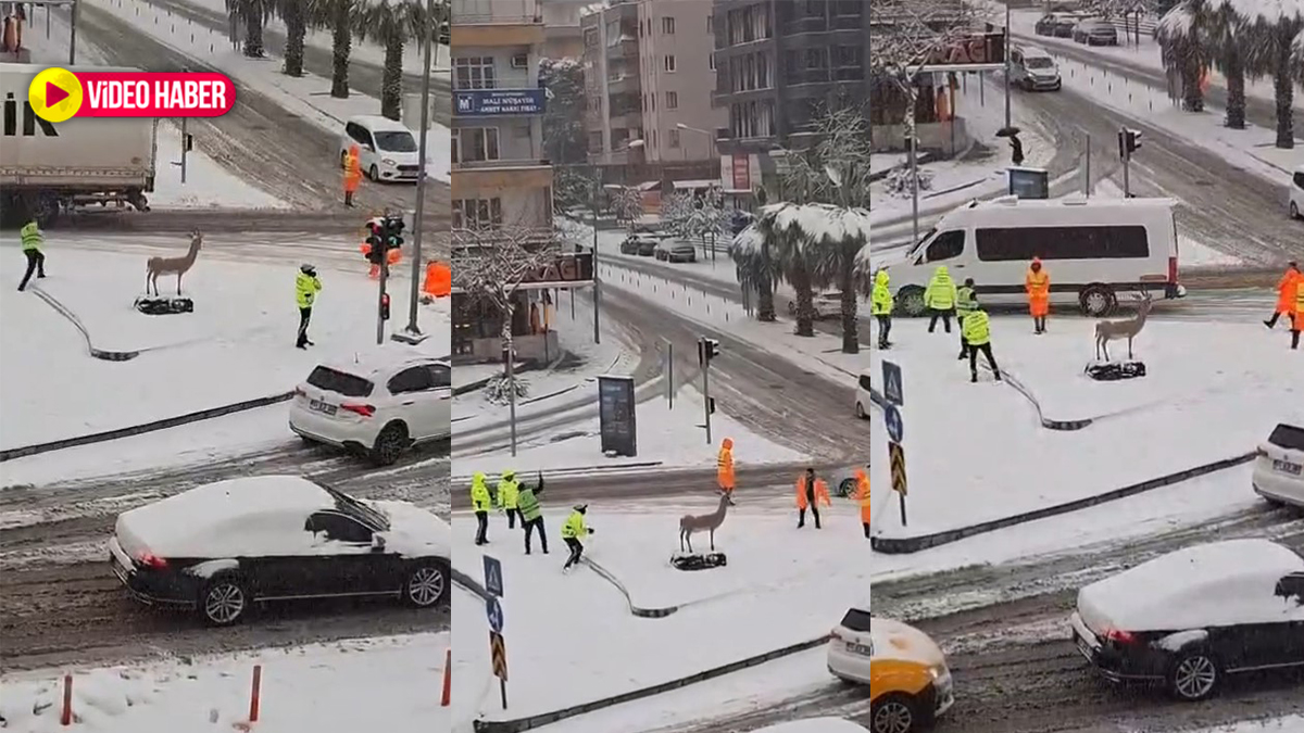 Şanlıurfa’da karla gelen eğlence! Polis ve belediye personelinden kartopu molası