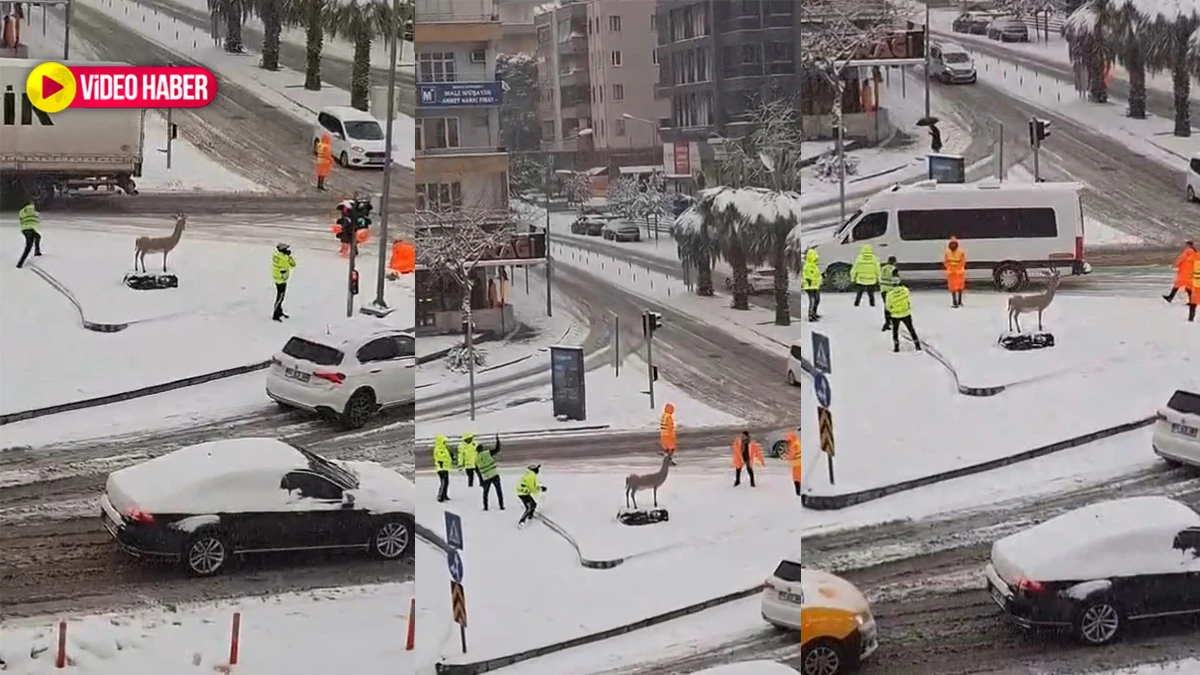 Şanlıurfa’da karla gelen eğlence! Polis ve belediye personelinden kartopu molası
