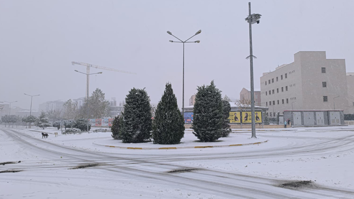 Şanlıurfalılara müjde! Kimse elektriksiz kalmayacak