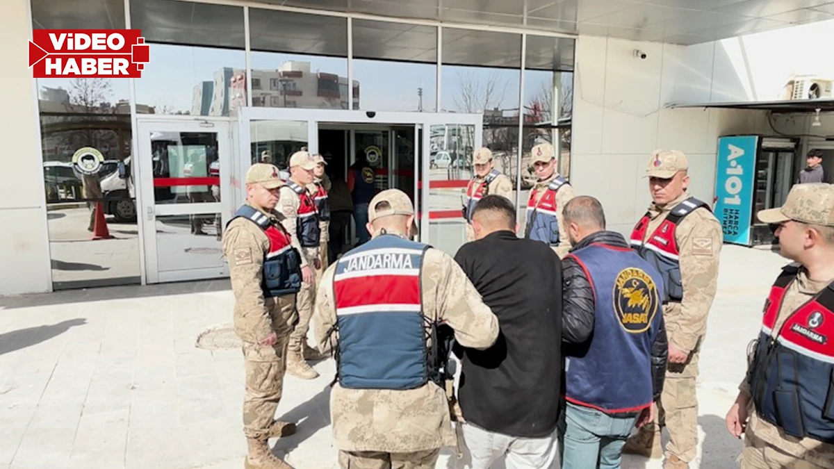 Şanlıurfa’daki cinayete ilişkin jandarmadan operasyon! Gözaltılar var