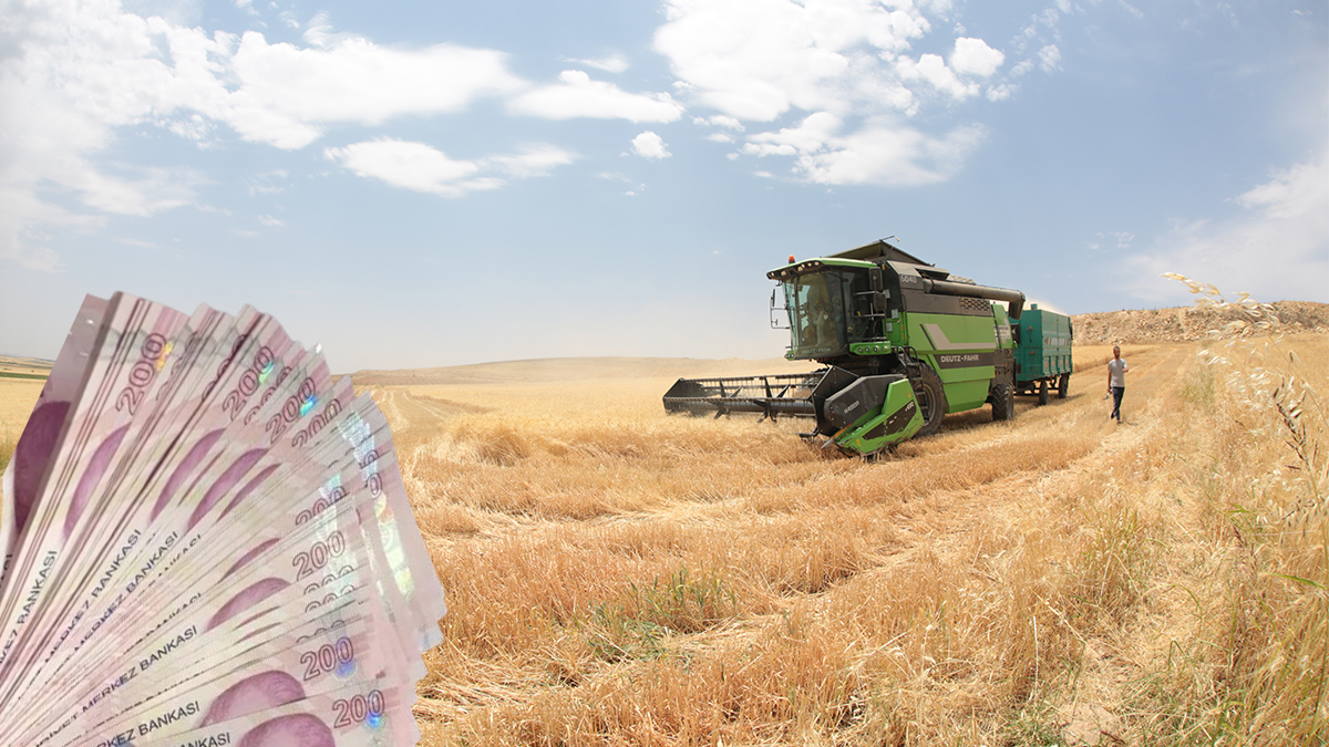 Şanlıurfalı çiftçilere can suyu! Destek ödemeleri hesaplarda