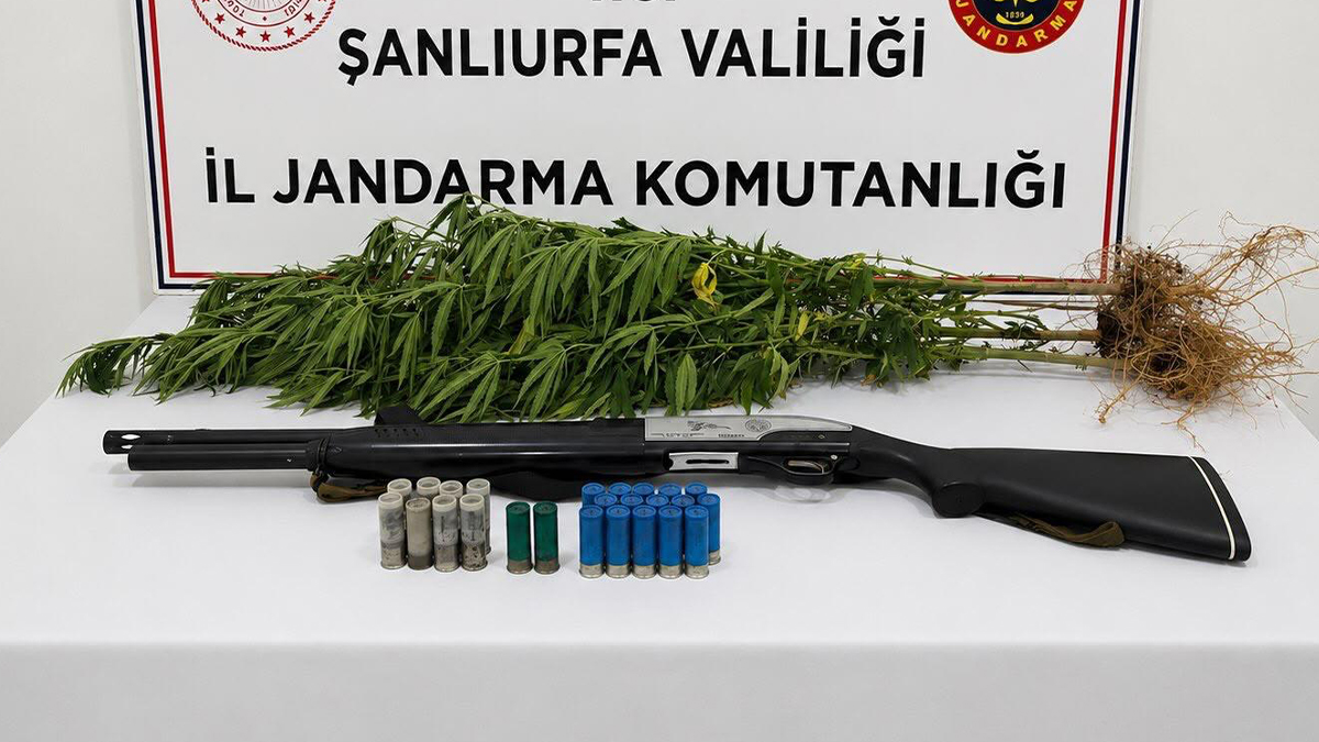 Şanlıurfa’nın ilçesinde jandarma baskını! Adresinden tüfek de çıktı