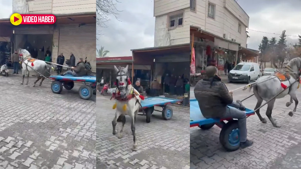 Şanlıurfa'da at arabacılık yeniden şahlandı