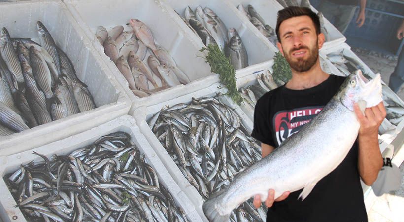 Sezon açıldı tezgahlar şenlendi